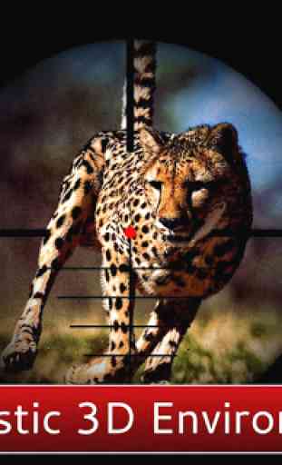 Cheetah Hunter 2016 - chasseur 2