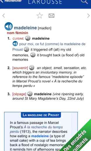 Grand Dictionnaire anglais-français Larousse 4