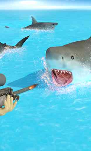 Shark Chasse Deep Dive 2 4