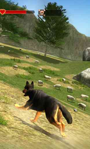 Shepherd Dog Simulator 3D 3