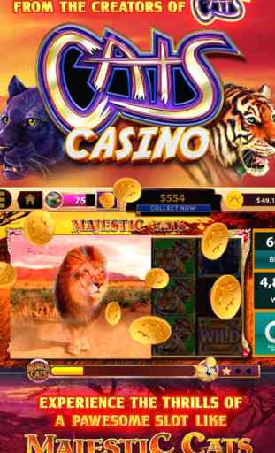 CATS Casino 1