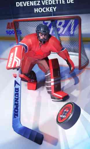 Hockey Sur Glace 3D – Pénalité 1