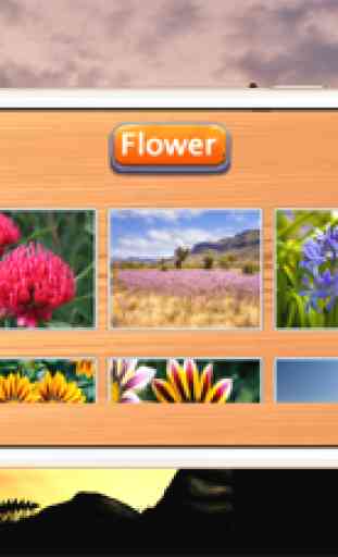 Jigsaw Puzzle Australia Learning Game for Children 3