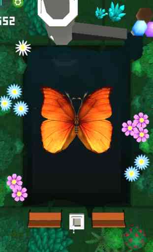 Pop Butterfly 4