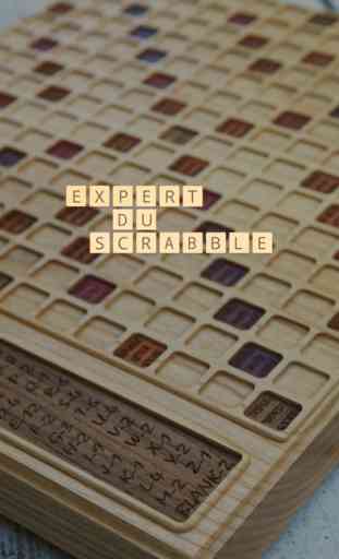 Expert Scrabble®, Jeu de mots 4