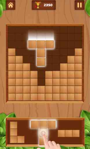 Wood Block Puzzle Box Classic 3