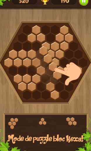 Wooden Jigsaw Block Puzzle 3