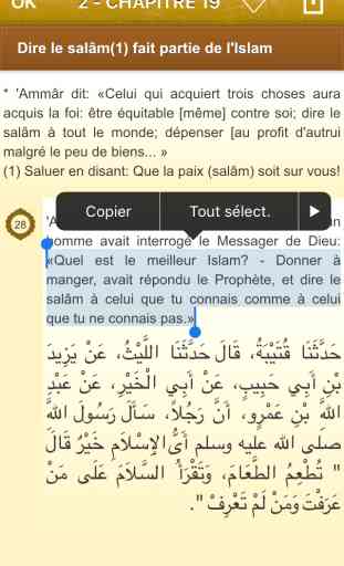Sahih Al-Bukhari en Français et en Arabe, +7500 Hadiths et Citations du Coran (Lite) - صحيح البخاري 3