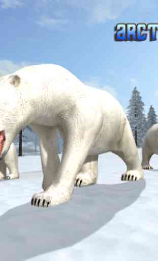 Arctic Polar Bear 1