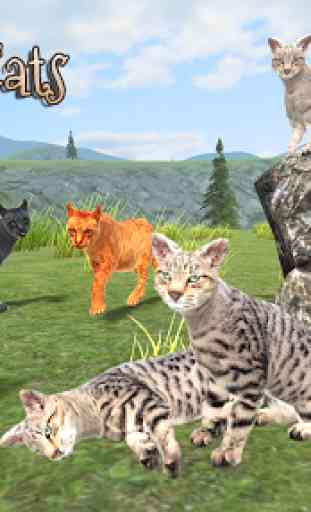 Clan of Cats 1
