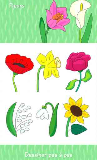 Comment dessiner des Princesses, Fées et Fleurs 3