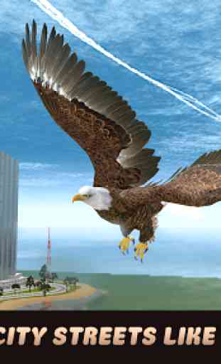 Oiseaux Simulator: Aigle 3D 1