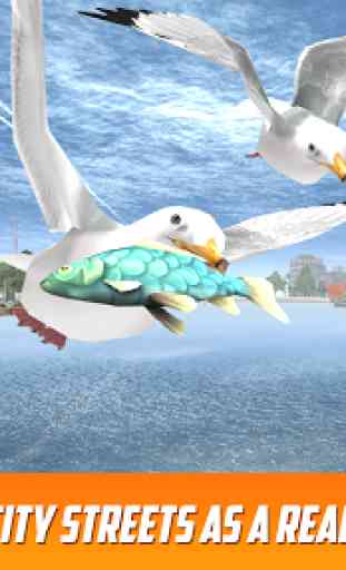 Seagull: Sea Bird Simulator 3D 1