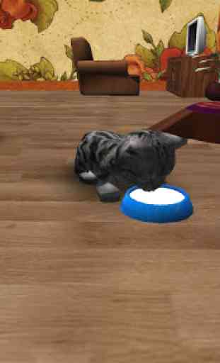 Cute Pocket Cat 3D 4