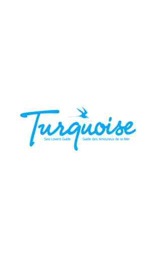 Guide Turquoise 1