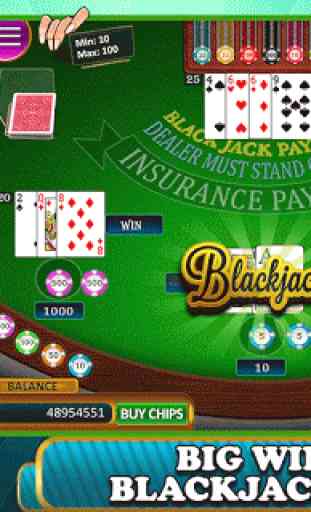 BlackJack -21 Casino Card Game 2