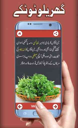 Gharelu Totkay Urdu: Home Remedies 2020 3
