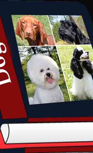 Liste des races de chiens 1