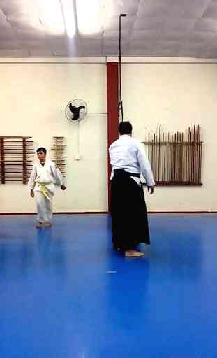 Aikido Lessons 1