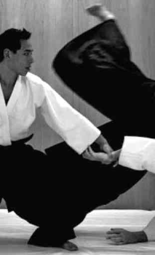 Aikido techniques 2