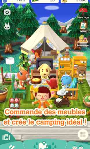 Animal Crossing: Pocket Camp 4