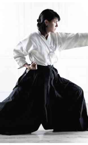 Apprendre l'aïkido dans les cours en ligne 1