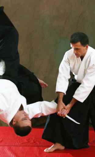 Apprendre l'aïkido dans les cours en ligne 2