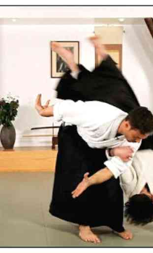 Apprendre l'aïkido et les arts martiaux 1