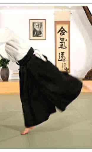 Apprendre l'aïkido et les arts martiaux 2
