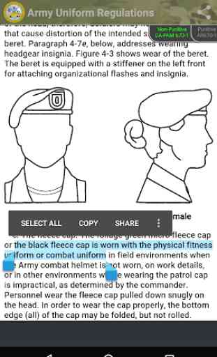 Army Uniform Regulations 3