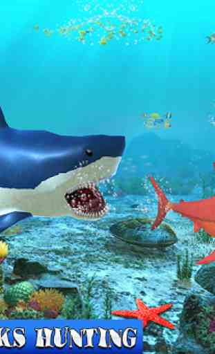 Big Shark Vs Petits Requins 1