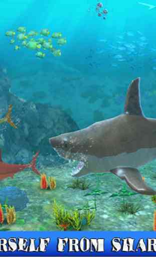 Big Shark Vs Petits Requins 2