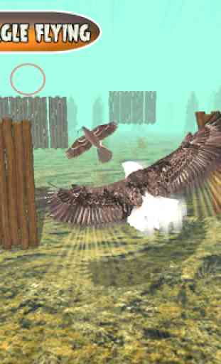 Bird Chase Mania: chasse aux aigles vol sans fin 4