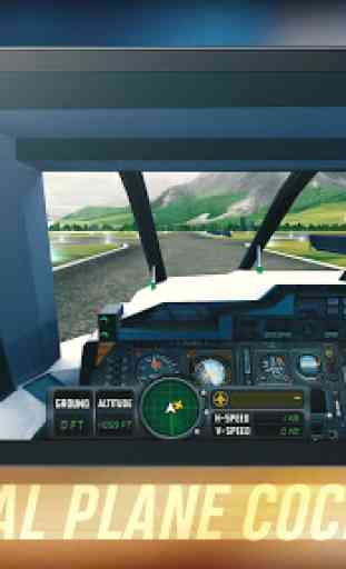Flight Sim 2018 3
