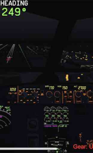 Flight Simulator Advanced 1
