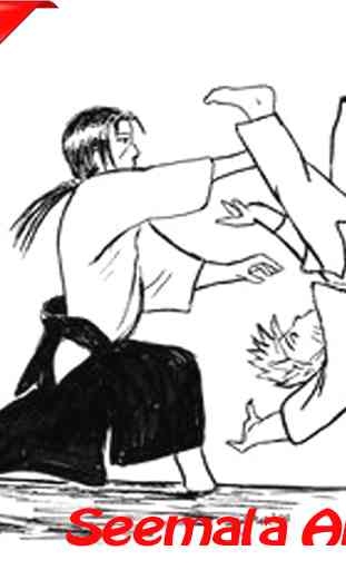 Learn the Best Aikido Techniques 1