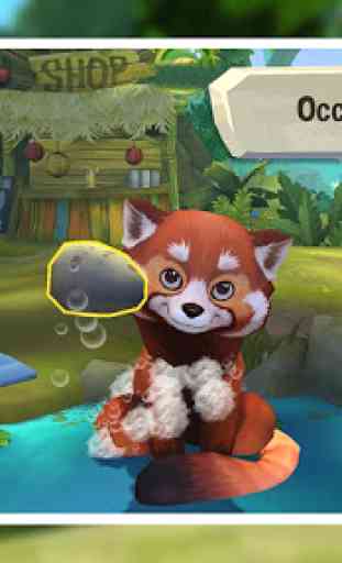 Mon panda roux - Simulation d'animal adorable 4