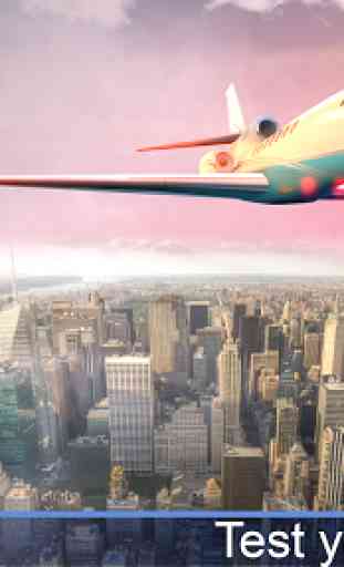 Pilote de l'avion - Simulateur de Vol 3D 3