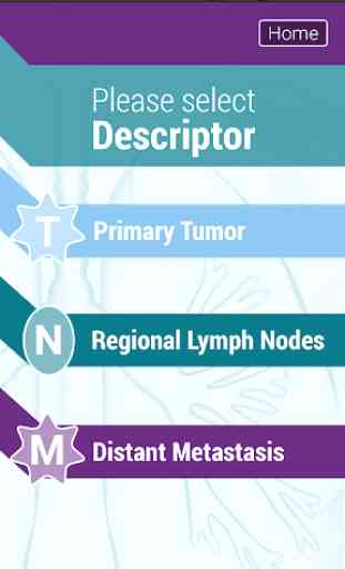 TNM Lung Staging 2