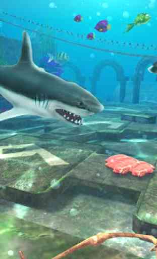 Vie du grand requin blanc: Simulation de mégalodon 2