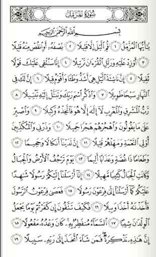 Al Quran Al kareem ( Mushaf,Tafseer and Murottal) 2