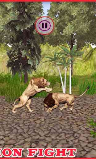 Aller Lutte Lions d'Afrique 4