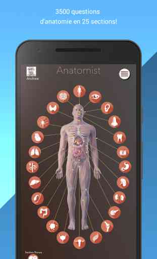 Anatomist – Anatomie Quiz Jeu 1