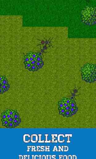 Ant Evolution - simulateur de fourmis 2