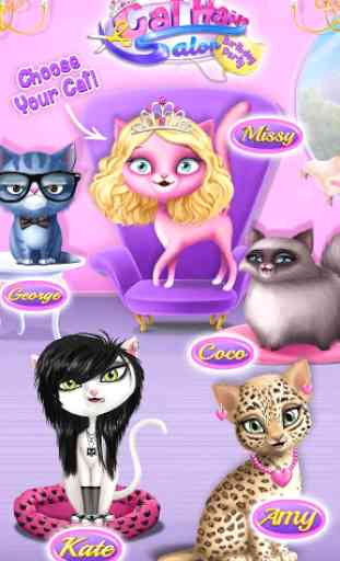 Cat Hair Salon Birthday Party - Virtual Kitty Care 1