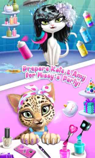 Cat Hair Salon Birthday Party - Virtual Kitty Care 2