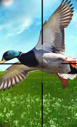 Chasse au canard saison 2020: Jeux tir d'oiseaux 1