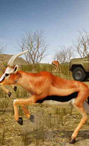 Chasse au cerf-chasse safari de survie des animaux 2