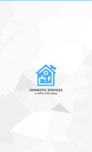 Domestic Services 1