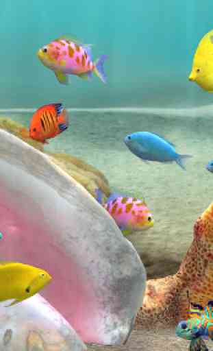 Fish Farm 3 Fond d'écran animé-Simulateur Aquarium 2